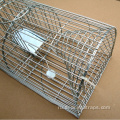 Наружный Humane Live Catch Catch Animal Rat Cage Trap